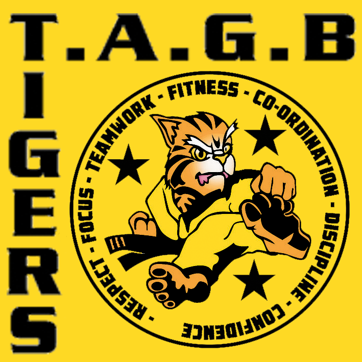Childrens taekwondo tiger classes 